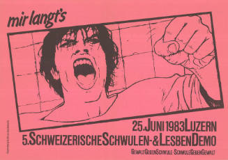 Mir langt’s, 5. Schweizerische Schwulen- & Lesbendemo, Luzern