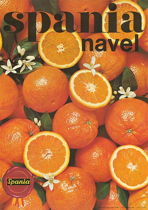 Spania, Navel