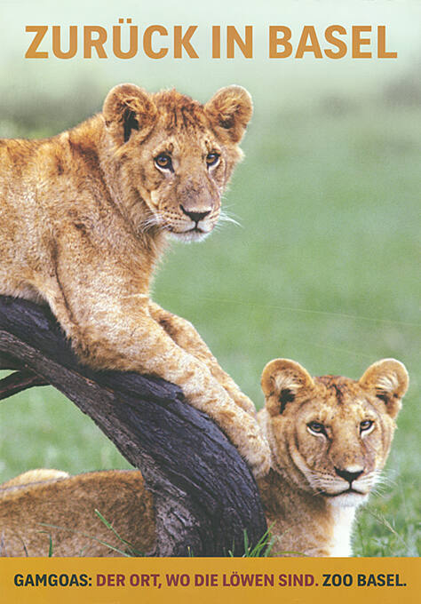 Zoo Basel