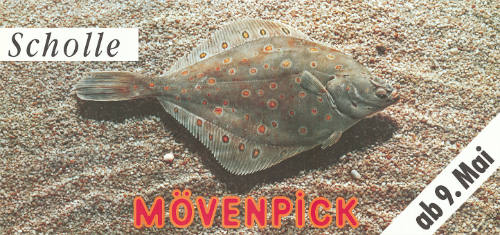 Scholle, Mövenpick