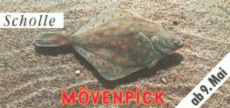 Scholle, Mövenpick