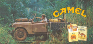 Camel