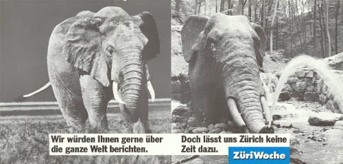 Wir würden Ihnen gerne über die ganze Welt berichten. Doch lässt uns Zürich keine Zeit dazu. ZüriWoche