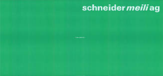 Schneider Meili AG