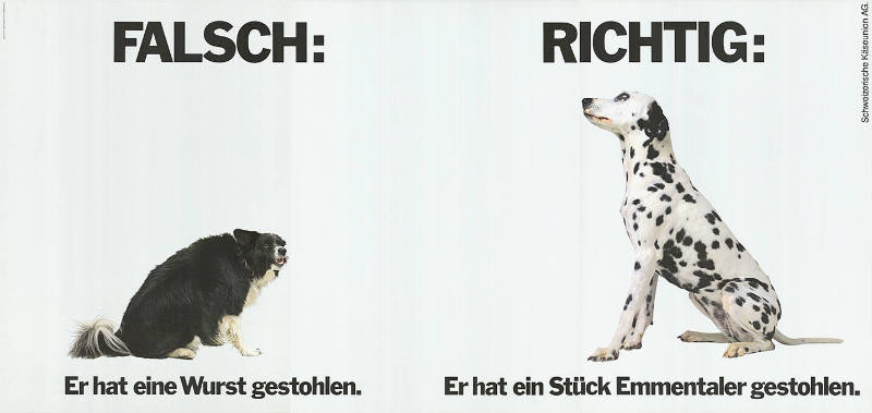 Falsch: Er hat eine Wurst gestohlen. Richtig: Er hat ein Stück Emmentaler gestohlen.