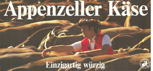 Appenzeller Käse, Einzigartig würzig