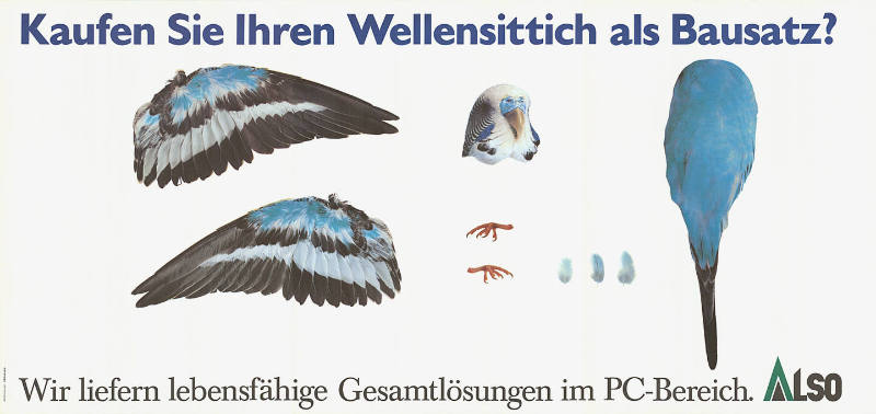 Kaufen Sie Ihren Wellensittich als Bausatz? Wir liefern lebensfähige Gesamtlösungen im PC-Bereich. Also