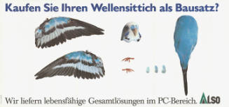 Kaufen Sie Ihren Wellensittich als Bausatz? Wir liefern lebensfähige Gesamtlösungen im PC-Bereich. Also