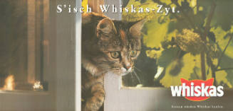 S’isch Whiskas-Zyt.