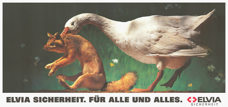 Elvia Sicherheit. Für alle und alles.
