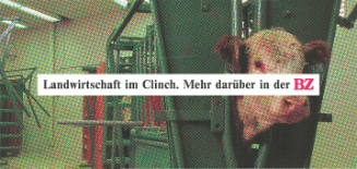 Landwirtschaft im Clinch. Mehr darüber in der BZ