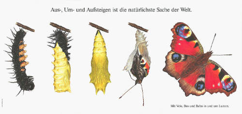 Aus-, Um- und Aufsteigen ist die natürlichste Sache der Welt. Mit Velo, Bus und Bahn in und um Luzern.