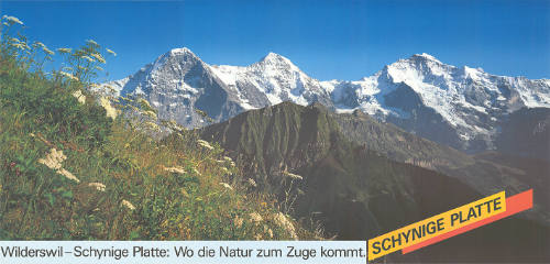 Wilderswil–Schynige Platte: Wo die Natur zum Zuge kommt. Schynige Platte