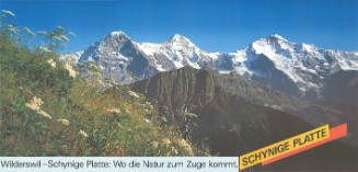 Wilderswil–Schynige Platte: Wo die Natur zum Zuge kommt. Schynige Platte