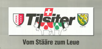 Tilsiter, Vom Stääre zum Leue