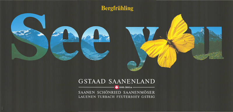 Bergfrühling, see you, Gstaad Saanenland